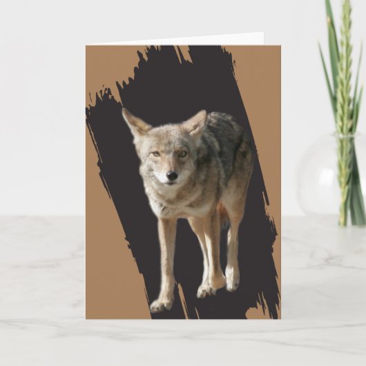 Eenzame Coyote Feestdagen Kaart (Voorkant)