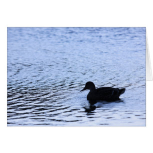 Eenzame eend natuurmeer water rimpelingen fotograf