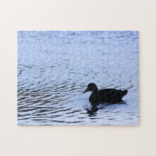 Eenzame Eend Silhouet Natuur Water Rimpelingen Fot Legpuzzel