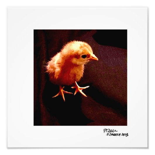 Eenzame Kind Foto Afdruk (Voorkant)