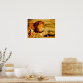 Eenzame Leeuw Poster (Keuken)