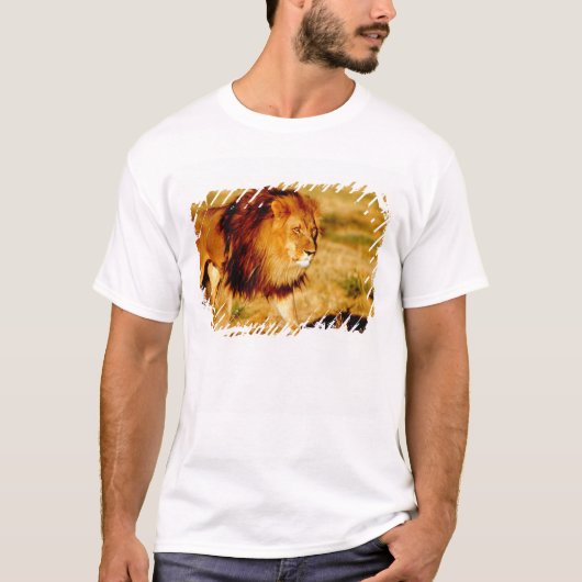 Eenzame Leeuw T-shirt (Voorkant)