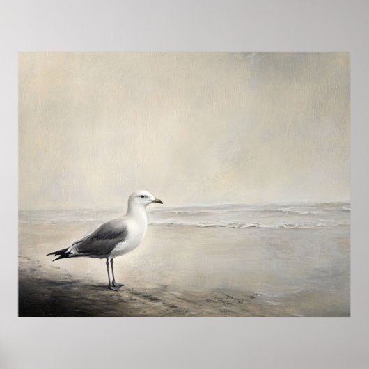 Eenzame meeuw aan de kust poster (Voorkant)