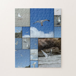 Eenzame meeuwen Puzzel
