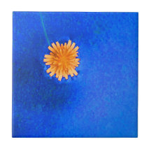 Eenzame oranje bloem