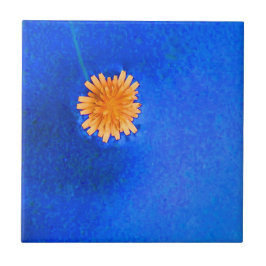 Eenzame oranje bloem tegeltje