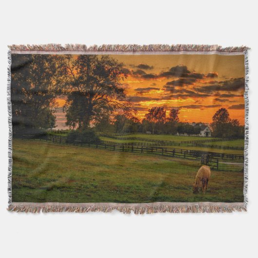 Eenzame paard bij zonsondergang deken (Voorkant)