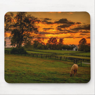 Eenzame paard bij zonsondergang muismat