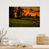 Eenzame paard bij zonsondergang poster (Keuken)