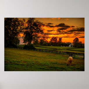 Eenzame paard bij zonsondergang poster