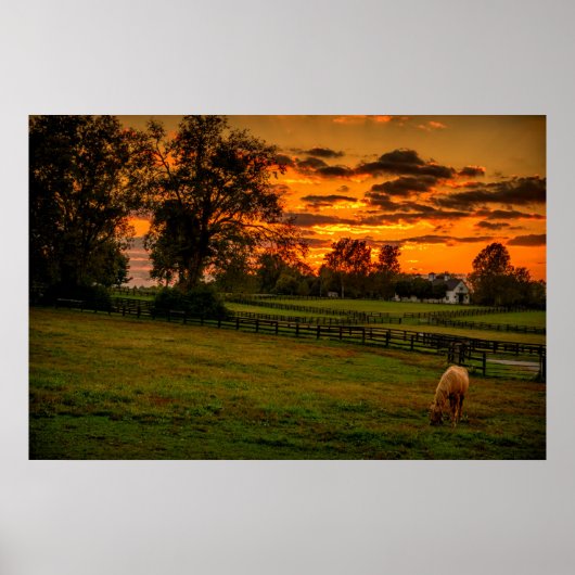 Eenzame paard bij zonsondergang poster (Voorkant)