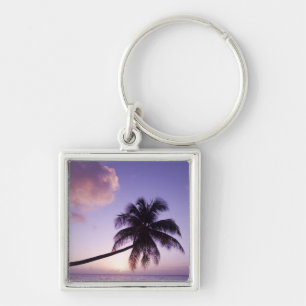 Eenzame palmboom bij zonsondergang, Coconut Grove  Sleutelhanger