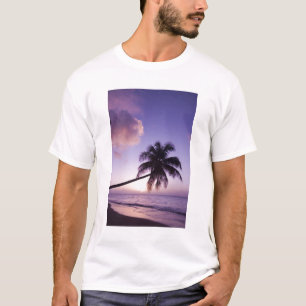 Eenzame palmboom bij zonsondergang, Coconut Grove T-shirt