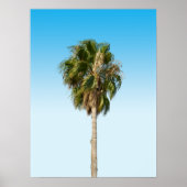 Eenzame palmboom poster (Voorkant)