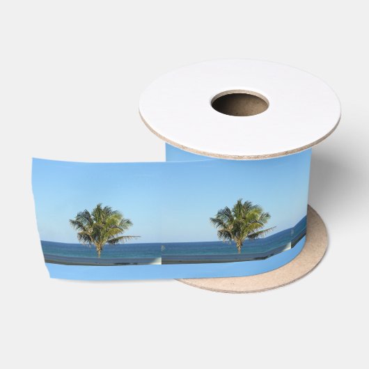 EENZAME PALMBOOM VAN DELRAY BEACH LINT (Spoel)