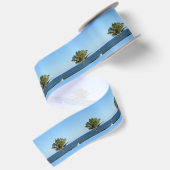 EENZAME PALMBOOM VAN DELRAY BEACH LINT (Achterkant)