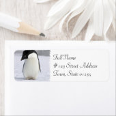 Eenzame Penguin Retouradres Mailing Label (Insitu)