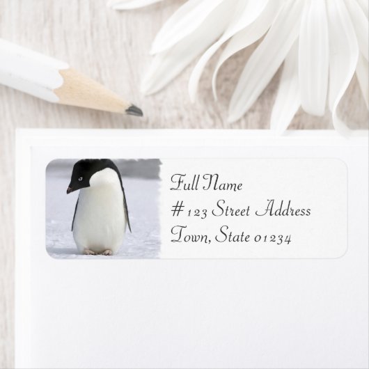 Eenzame Penguin Retouradres Mailing Label (Insitu)