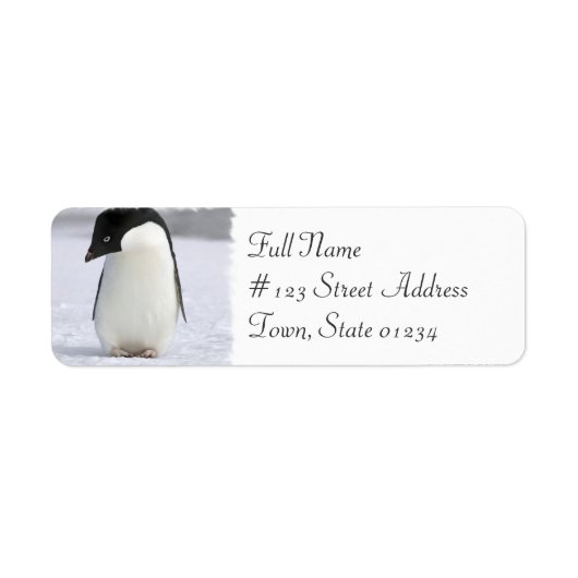 Eenzame Penguin Retouradres Mailing Label (Voorkant)