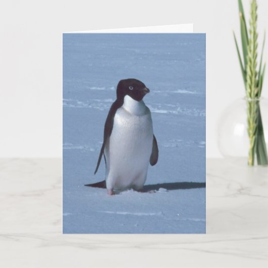 Eenzame pinguïn in de sneeuw bedankkaart (Voorkant)