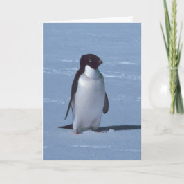 Eenzame pinguïn in de sneeuw bedankkaart