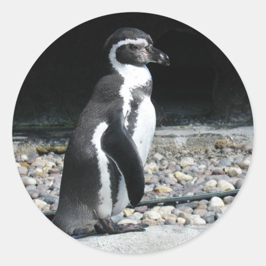 Eenzame Pinguïn Ronde Sticker (Voorkant)