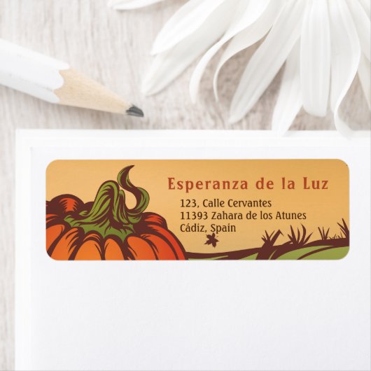 Eenzame pompoen op het veld. De herfst verlaat her Etiket (Insitu)