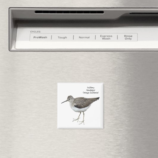 Eenzame Sandpiper Magneet (Insitu (Vaatwasser))