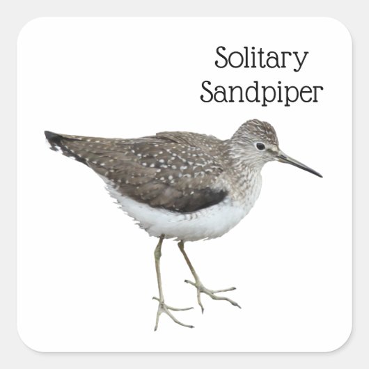 Eenzame Sandpiper Vierkante Sticker (Voorkant)