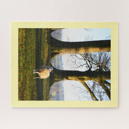 Eenzame schapen legpuzzel (Horizontaal)