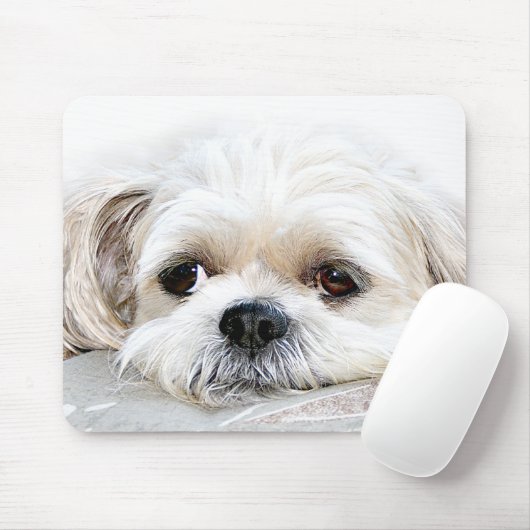 eenzame shih tzu mousepad muismat (Met muis)