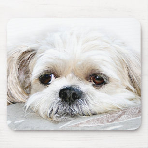 eenzame shih tzu mousepad muismat