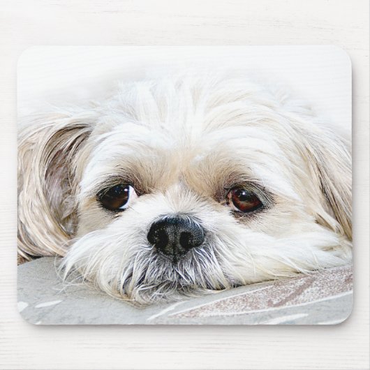 eenzame shih tzu mousepad muismat (Voorkant)