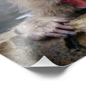 Eenzame sneeuwaap in Nagano, Japan Foto Afdruk (Hoek)