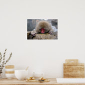 Eenzame sneeuwaap in Nagano, Japan Poster (Keuken)