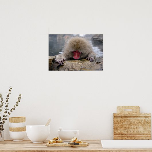 Eenzame sneeuwaap in Nagano, Japan Poster (Keuken)