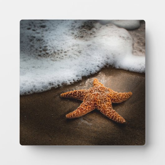Eenzame Starfish op het strand Fotoplaat (Voorkant)