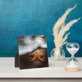 Eenzame Starfish op het strand Fotoplaat (Insitu)