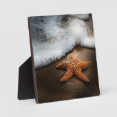 Eenzame Starfish op het strand Fotoplaat (Voorkant)