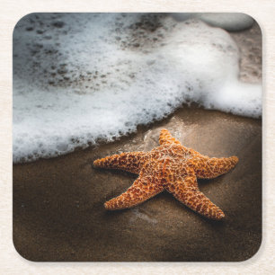 Eenzame Starfish op het strand Kartonnen Onderzetters