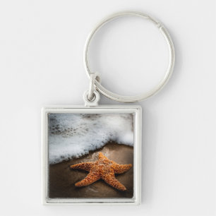 Eenzame Starfish op het strand Sleutelhanger