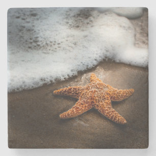 Eenzame Starfish op het strand Stenen Onderzetter