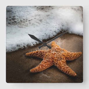 Eenzame Starfish op het strand Vierkante Klok