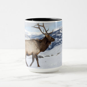Eenzame stier eland   Yellowstone National Park Mok
