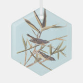 Eenzame Vireo Flycatcher van Audubon op riet Glas Ornament (Voorkant)