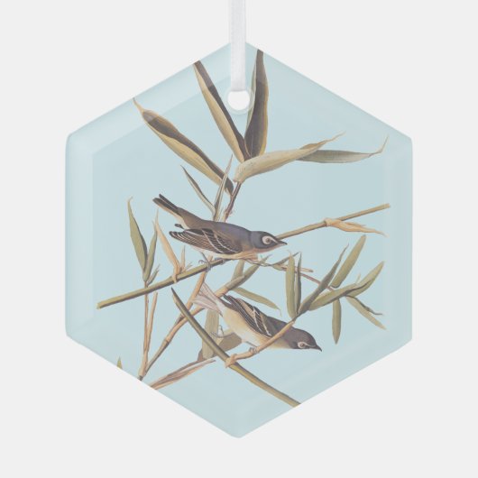 Eenzame Vireo Flycatcher van Audubon op riet Glas Ornament (Voorkant)