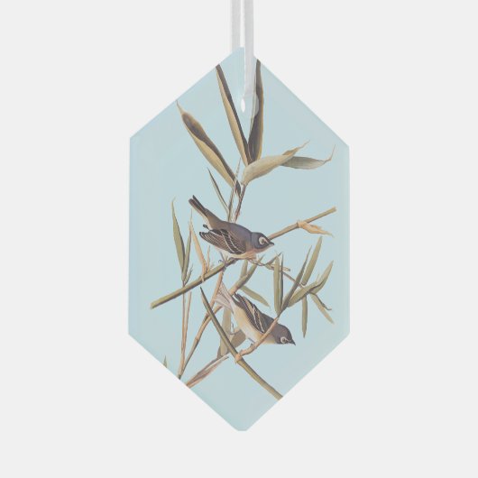 Eenzame Vireo Flycatcher van Audubon op riet Glas Ornament (Voorkant Rechts)