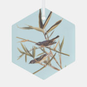Eenzame Vireo Flycatcher van Audubon op riet Glas Ornament (Achterkant)
