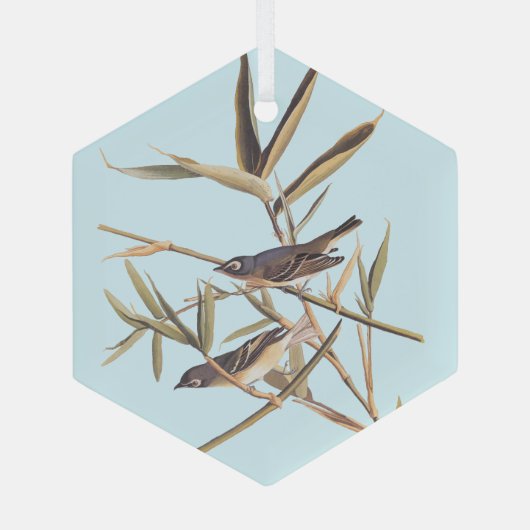 Eenzame Vireo Flycatcher van Audubon op riet Glas Ornament (Achterkant)