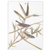 Eenzame Vireo Flycatcher van Audubon op riet Klembord (Achterkant)